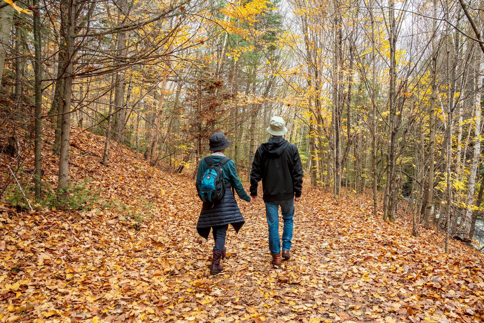 Stel wandelt hand in hand door een herfstbos, samen kwaliteitstijd doorbrengen