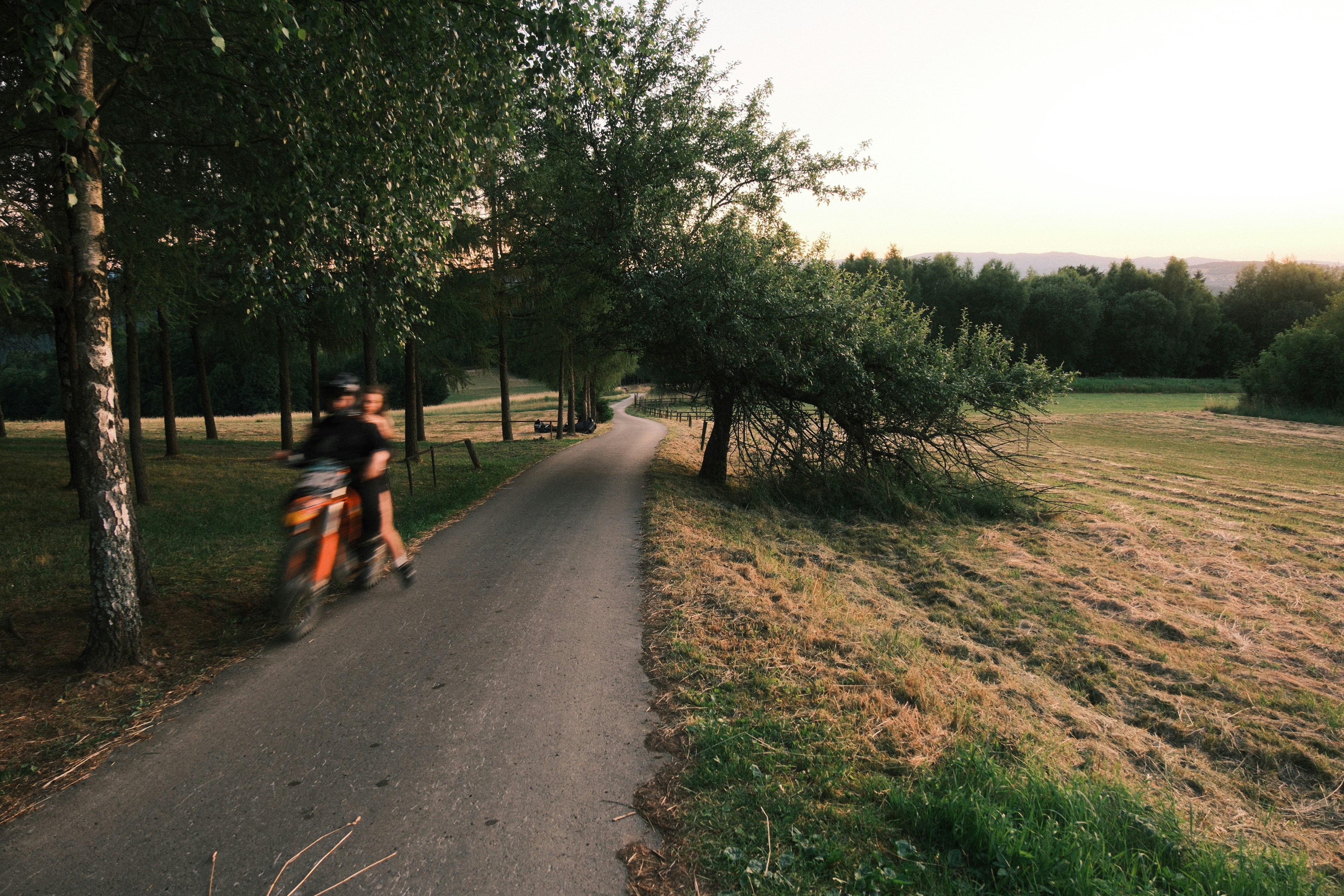 Stel fietst samen over een weg met bomen: samen leuke dingen doen in de buitenlucht